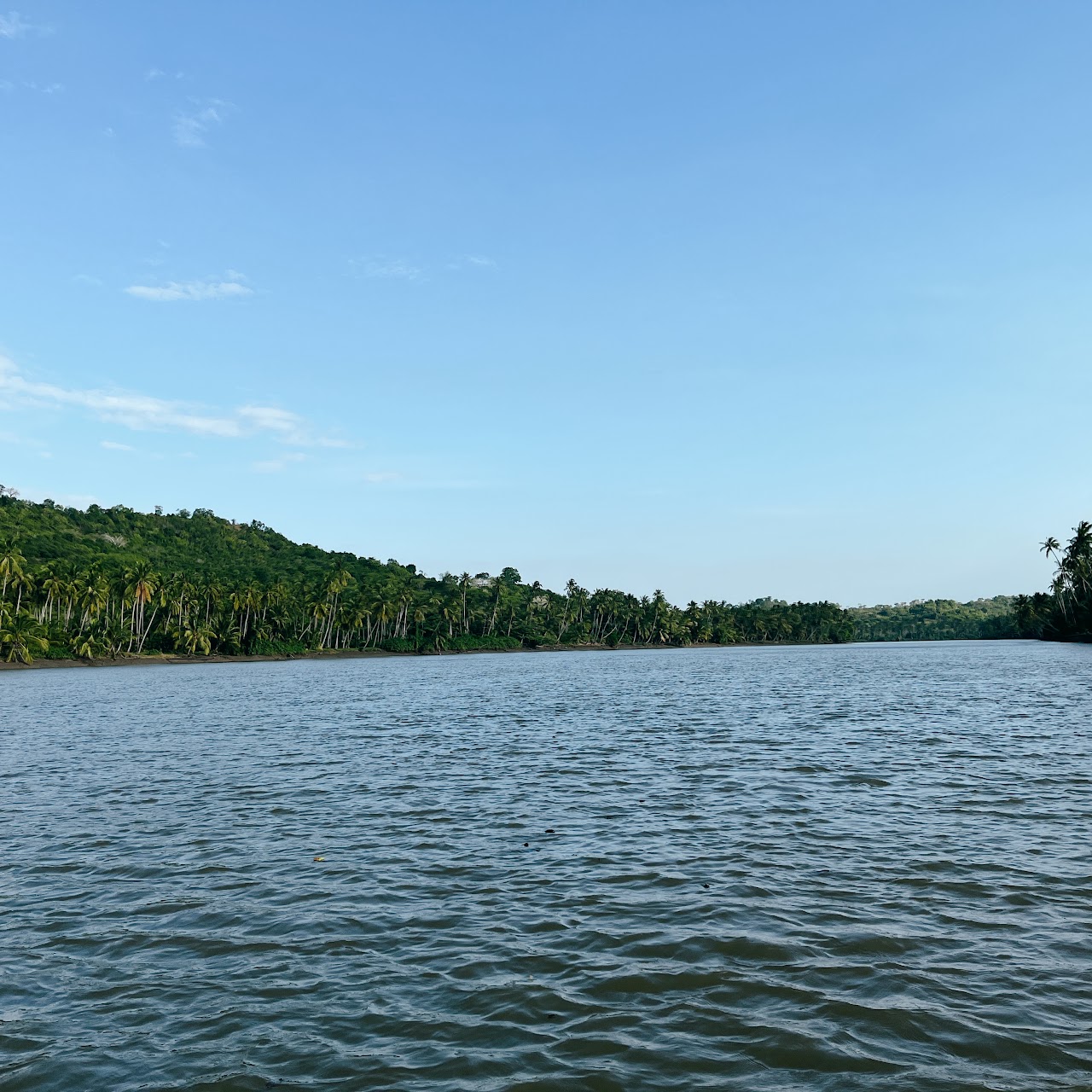 Ushongo River Sunset Cruise